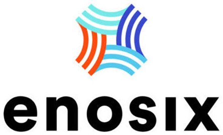 Enosix logo